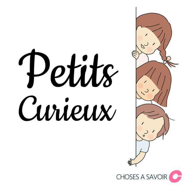Image illustration podcast Petits curieux