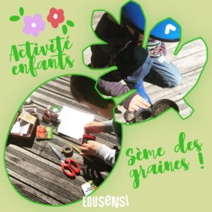 Sème des graines !